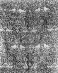 Diseño 