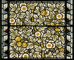Rosas Silvestres y Avellanas