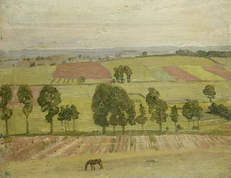 Llanura de Glastonbury