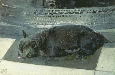 Napoleón