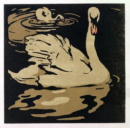 El hermoso cisne, ilustración de "The Square Book of Animals", publicado por William Heinemann