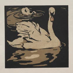 El libro cuadrado de los animales: El hermoso cisne
