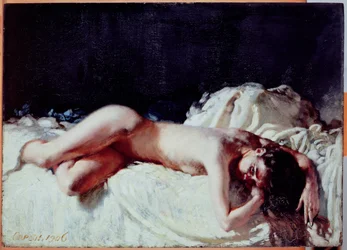 Estudio de Desnudo