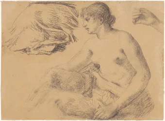 Estudio de desnudo
