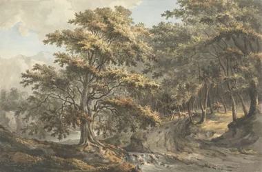 Paisaje con río y ganadero al fondo