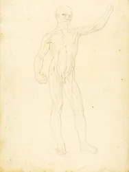 (Un Ecorche, vista frontal)