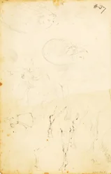 (Estudios--figuras, tronco, caballo y jinete, etc.)