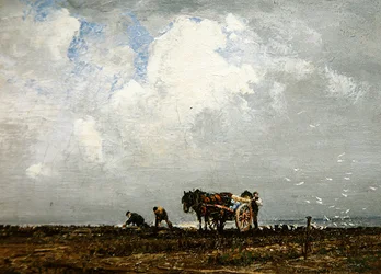 Recolección de algas, siglo XX