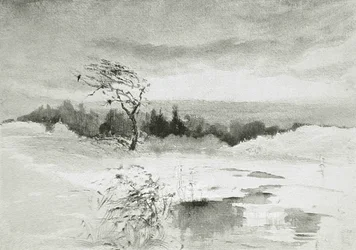 Paisaje con Agua y Árbol Azotado por el Viento
