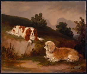 Paisaje con spaniel y terrier