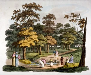 Vista del pozo de inmersión en Hyde Park, Westminster, Londres