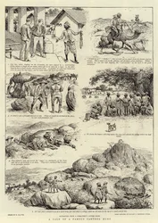 Historia de una famosa cacería de panteras