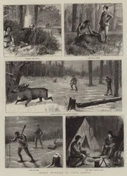Caza de Alces en Nueva Escocia