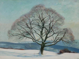 Árbol en invierno