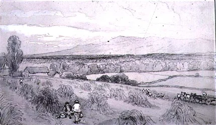 Escena de la cosecha