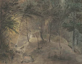 La Vista desde la Casa de Primavera en Echo, c.1808