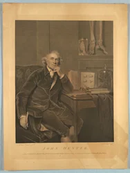 Retrato de John Hunter