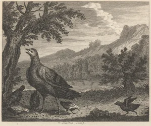 El pavo y la hormiga