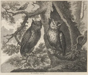 Los dos búhos y el gorrión