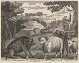El jabalí y el carnero