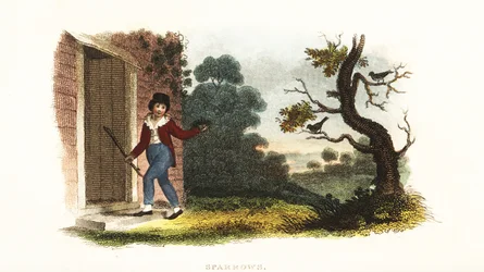William Smellie, de niño, tomando un nido de gorriones jóvenes de sus padres en un experimento