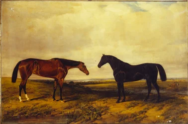 La potra baya brillante y el semental bayo oscuro del Conde de Granard, 1885