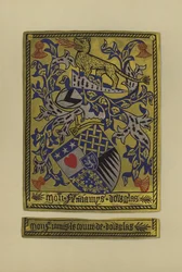 Sir James Douglas, conde de Douglas y Avondale, 1461-1488