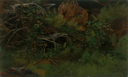 Estudio de la naturaleza