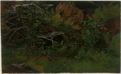 Estudio del natural