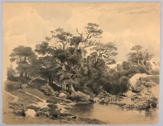 Estudio de paisaje
