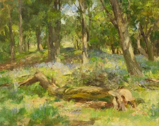 Escena del Bosque