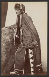 Arapaho Brave Shib-o-nester