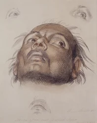 Estudio de la Cabeza de un Indio Oriental, c.1875