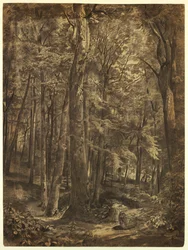 Dibujo, En el bosque, estudio para pintura, June Woods, Sociedad Histórica de Nueva York, cedido por la Biblioteca Pública de Nueva York, 1864