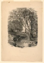 Dibujo, Piscina en el bosque, 1874