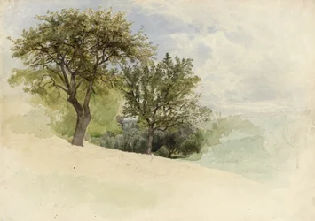 Paisaje con Árboles en una Ladera