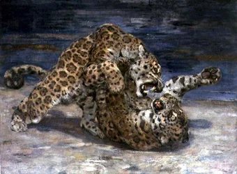 Leopardos luchando, c.1910
