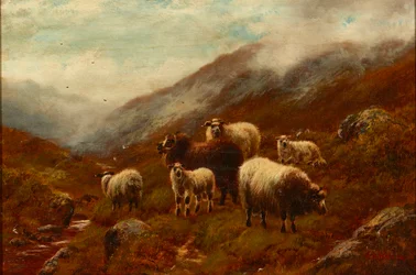 Ovejas de las Tierras Altas en una ladera (óleo sobre lienzo)