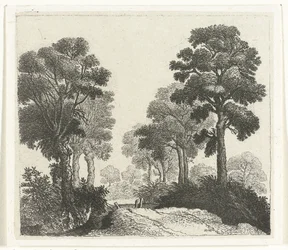 Paisaje con árboles a lo largo de un camino.