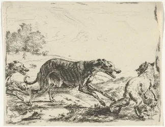 zorro y tres perros