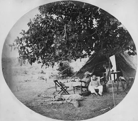 Un día caluroso en la jungla india, c.1860