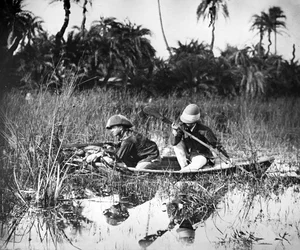 Caza de patos en India, c.1878