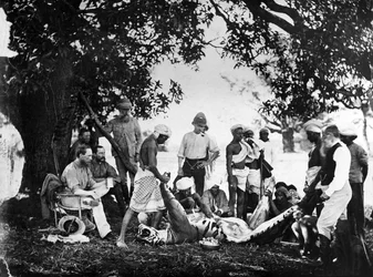 Desollando al tigre, c.1870s