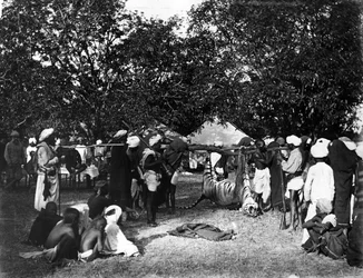 Caza de tigres en India, c.1870s