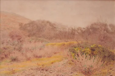 Un frío y gris día de febrero