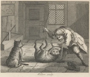El cazador de ratas y los gatos
