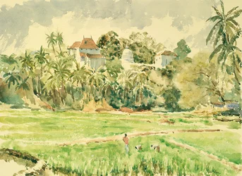 718 Lankatilaka desde los campos de arroz