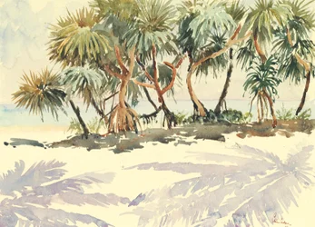 735 Árboles de paja, Bentota