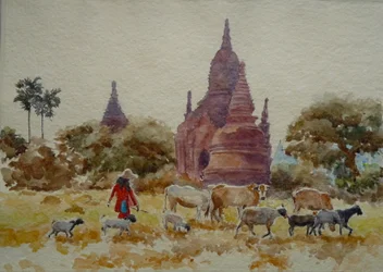 901 Bagan, pastoreo entre los templos