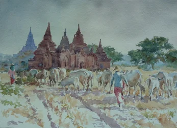 Bagan, pastoreo de regreso a casa